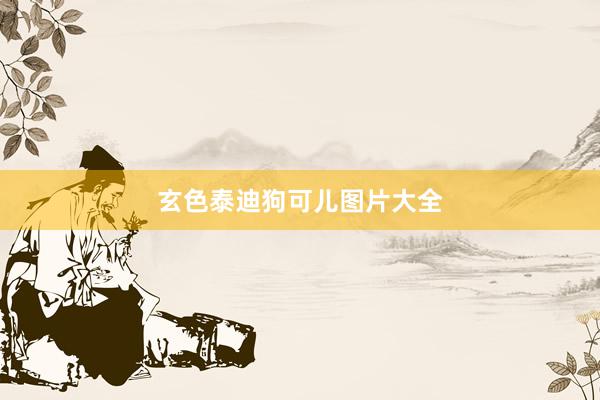 玄色泰迪狗可儿图片大全